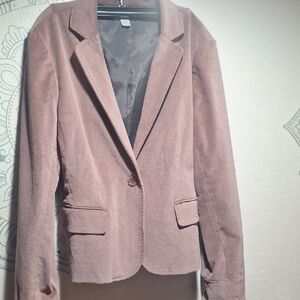 Garnet Hill Dusty Rose Velvety Blazer